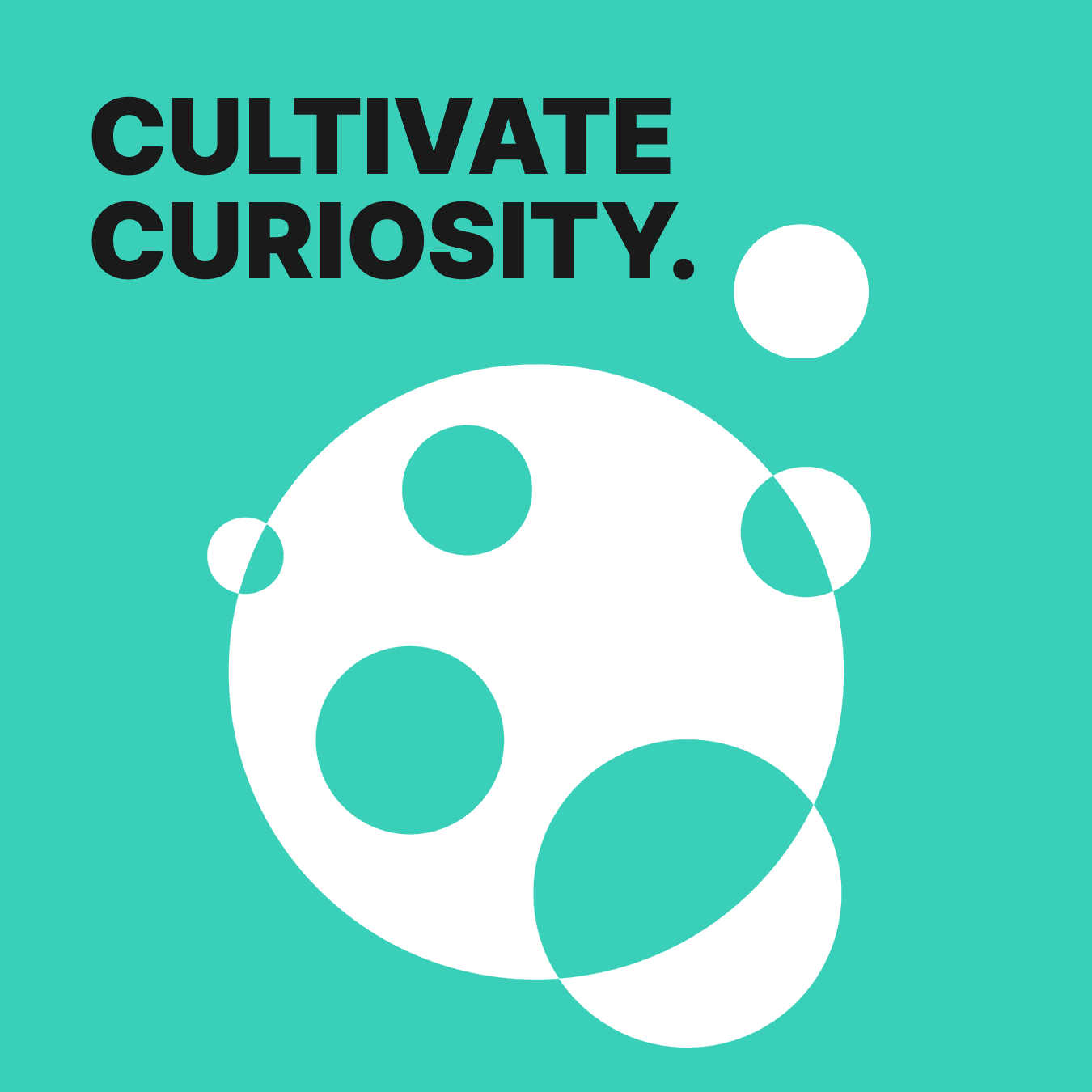 Cultivate Curiosity