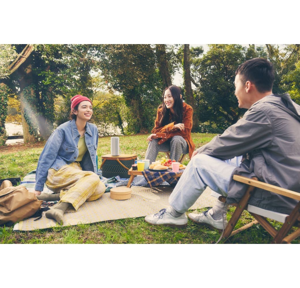 Anthrazit Sony SRS-XE200 Tragbarer Lautsprecher.2