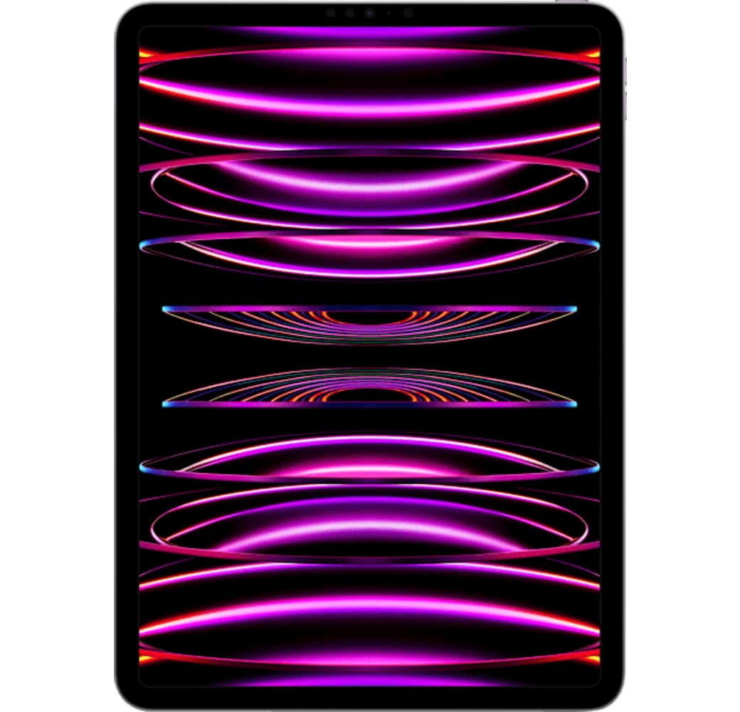 Gris espacial Apple 11" iPad Pro (2022) - Wi-Fi - 2TB.3