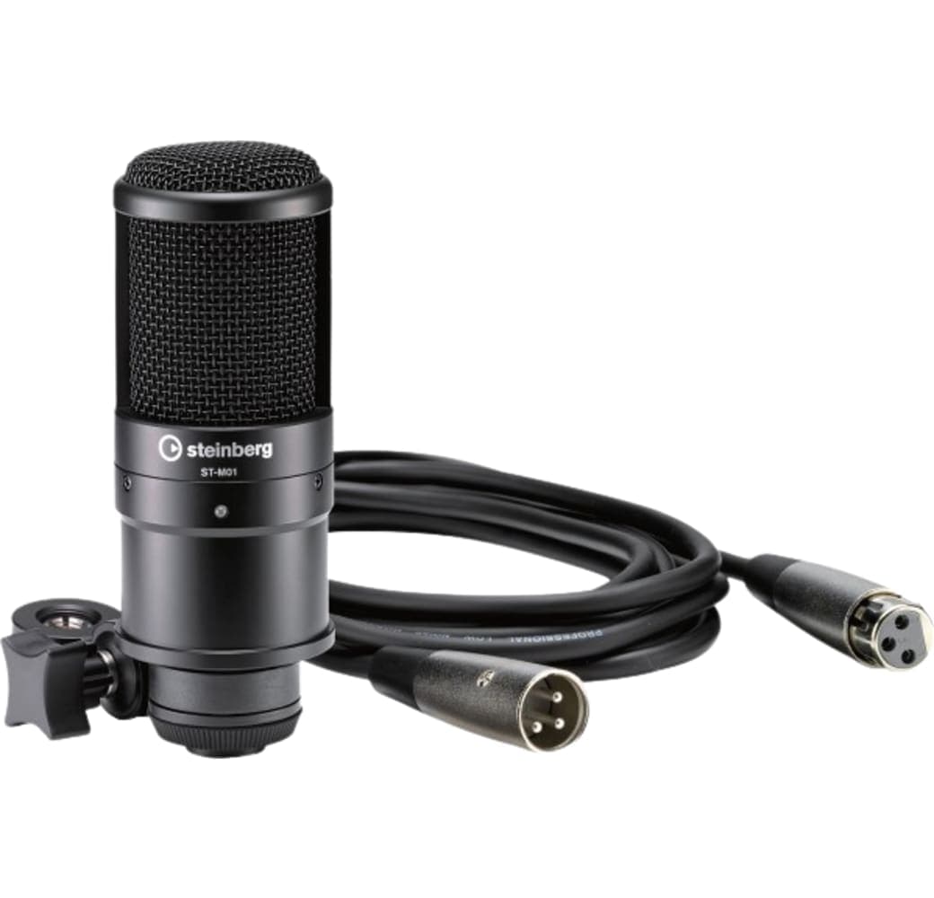 Schwarz Steinberg UR22C Recording Pack Audio Interface.2