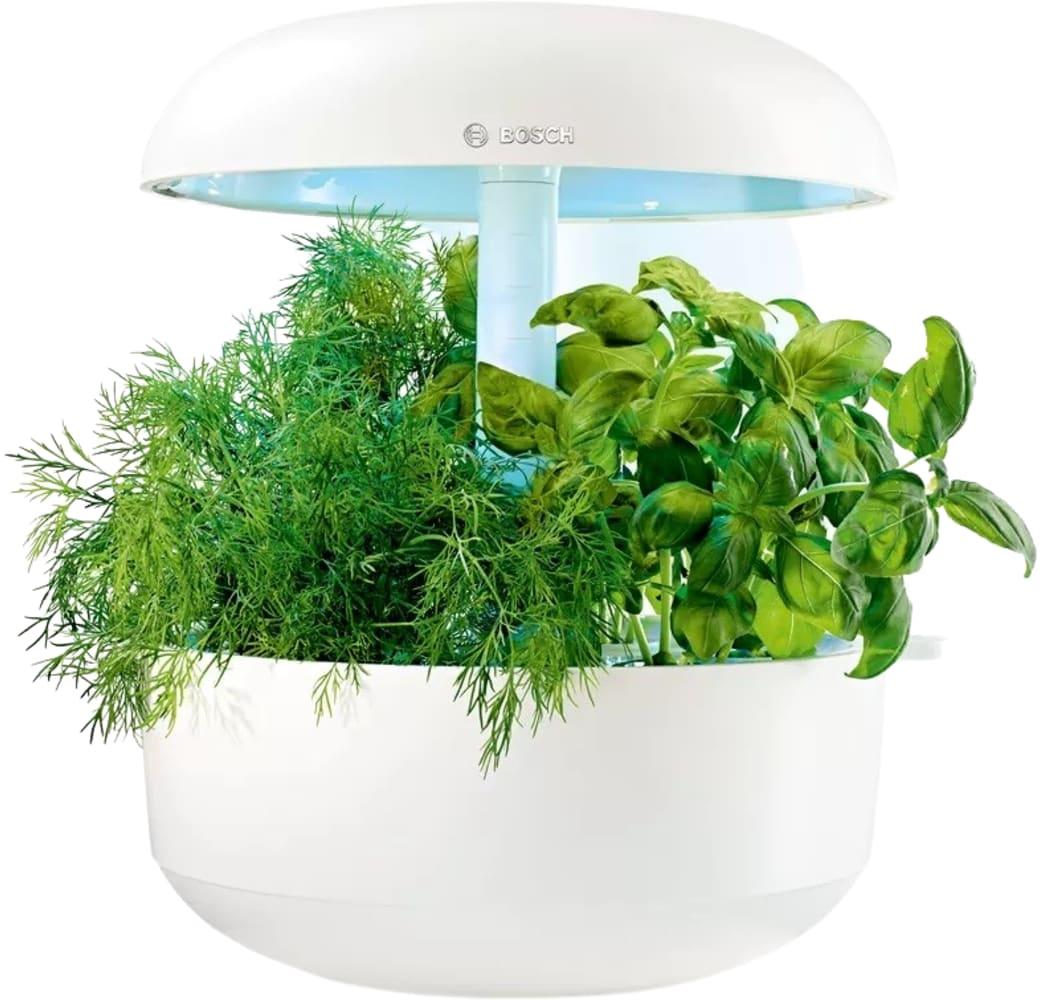 White Bosch SmartGrow 6 MSGP6.1
