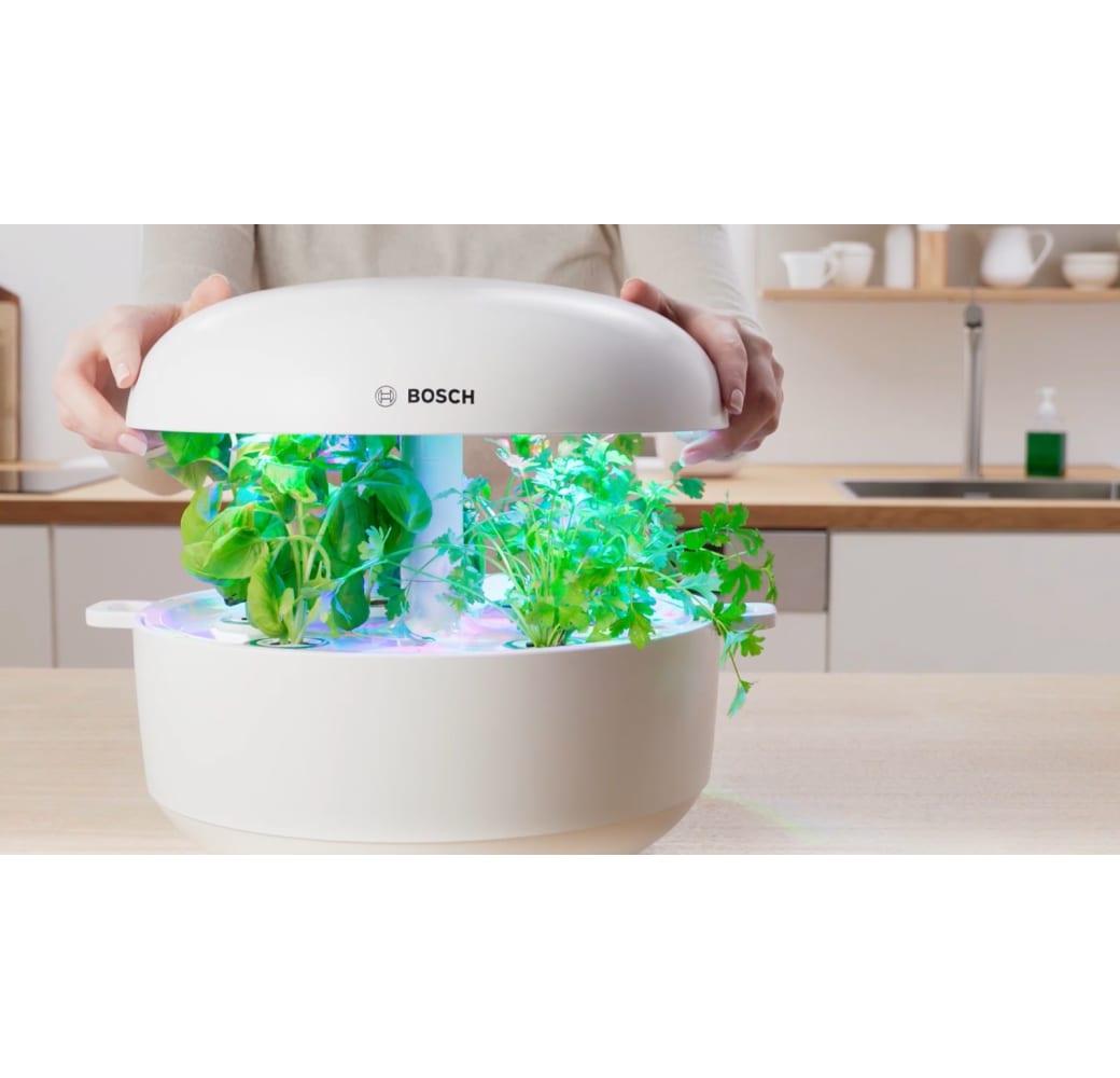 White Bosch SmartGrow 6 MSGP6.2