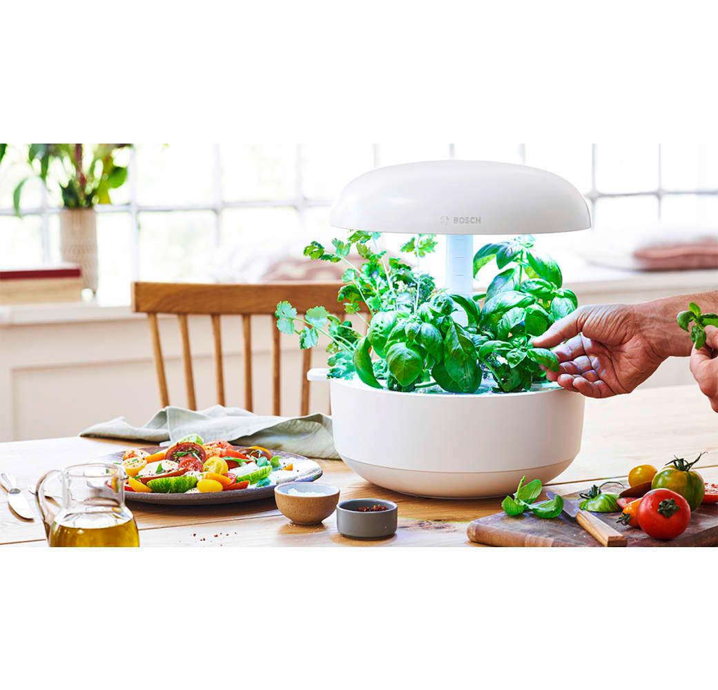 White Bosch SmartGrow 6 MSGP6.3
