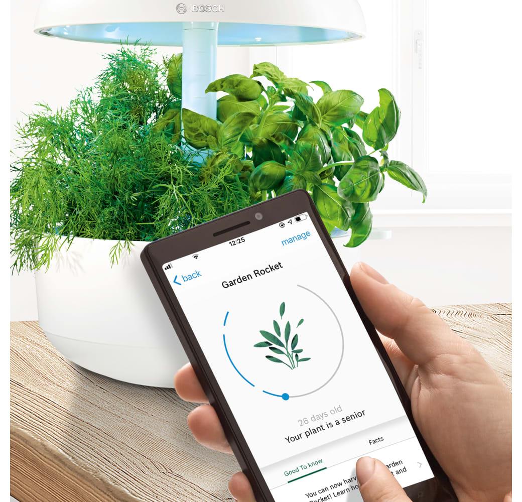 White Bosch SmartGrow 6 MSGP6.5