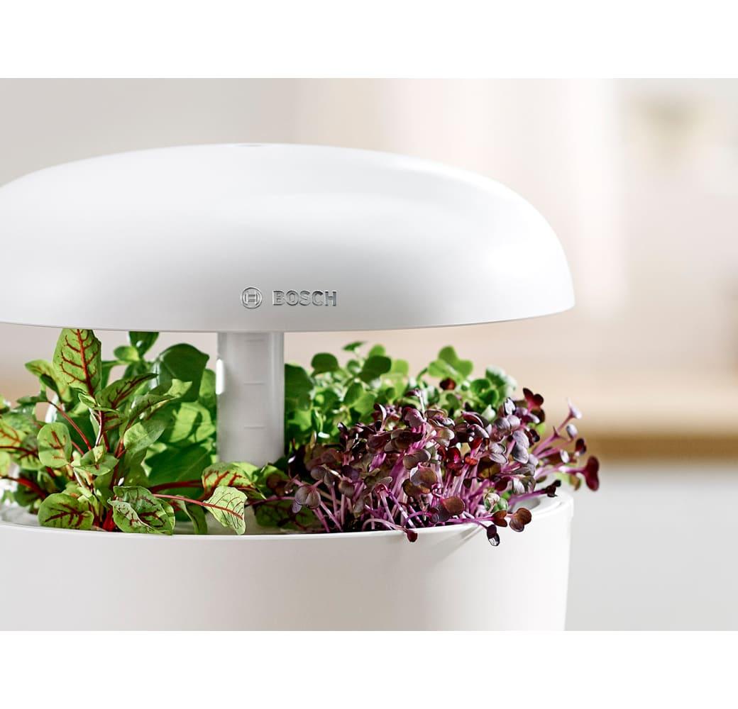 White Bosch SmartGrow 6 MSGP6.6