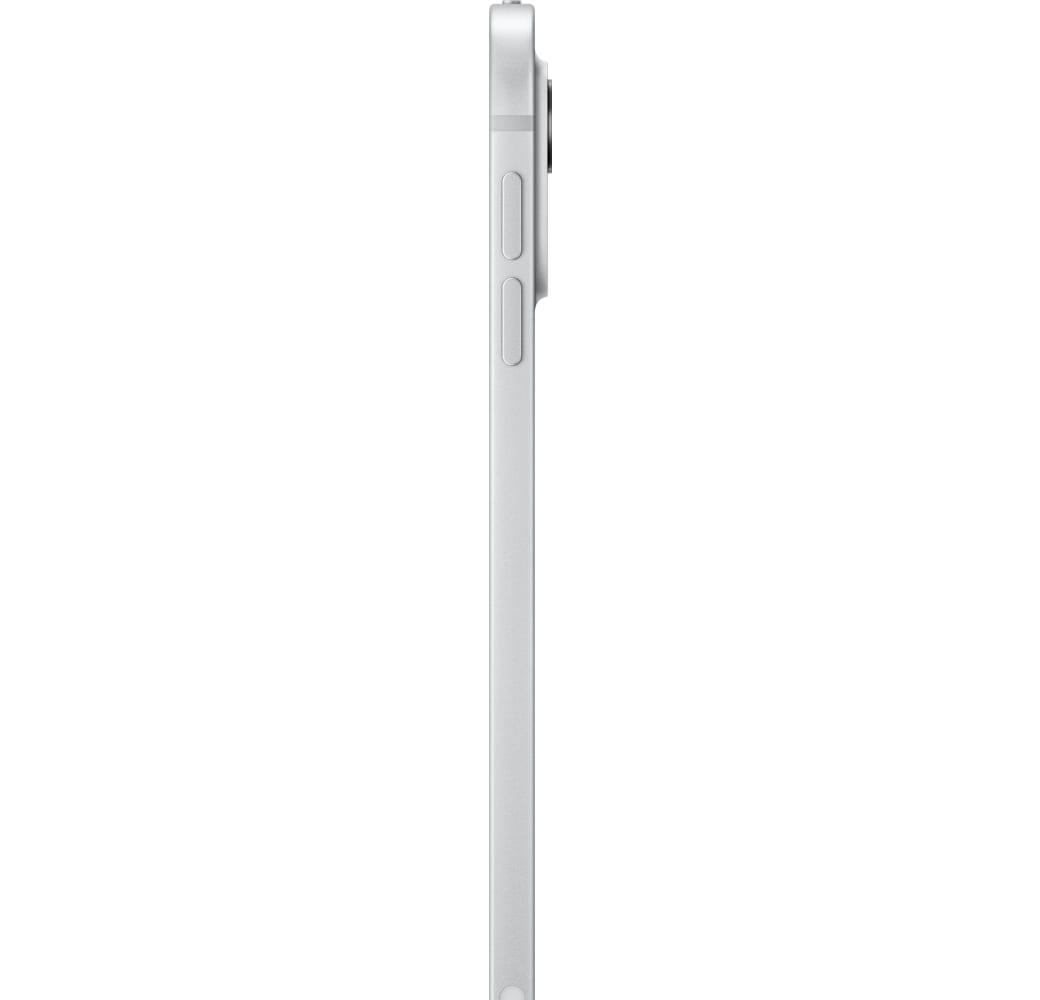 Silver Apple 11" iPad Pro (2024) - Wi-Fi + Cellular - M4 - 256GB.2