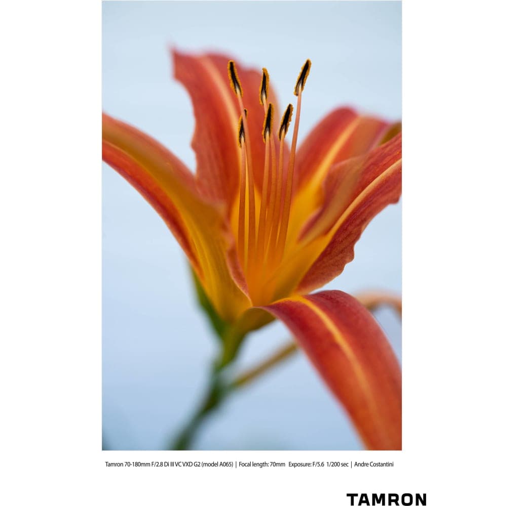 Negro Tamron 70-180mm f/2.8 Di III VC VXD G2 Sony FE-Mount.5