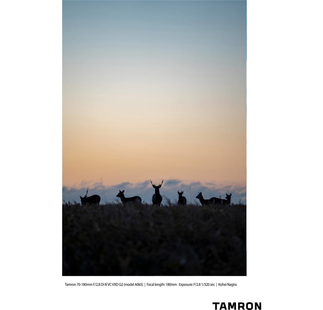 Negro Tamron 70-180mm f/2.8 Di III VC VXD G2 Sony FE-Mount.7