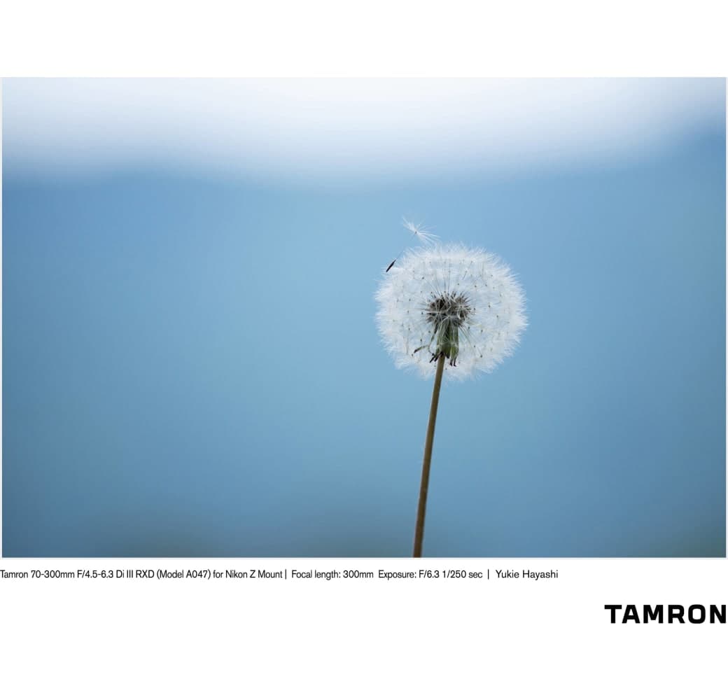 Negro Tamron 70-300mm f/4.5-6.3 Di III RXD Nikon Z.6