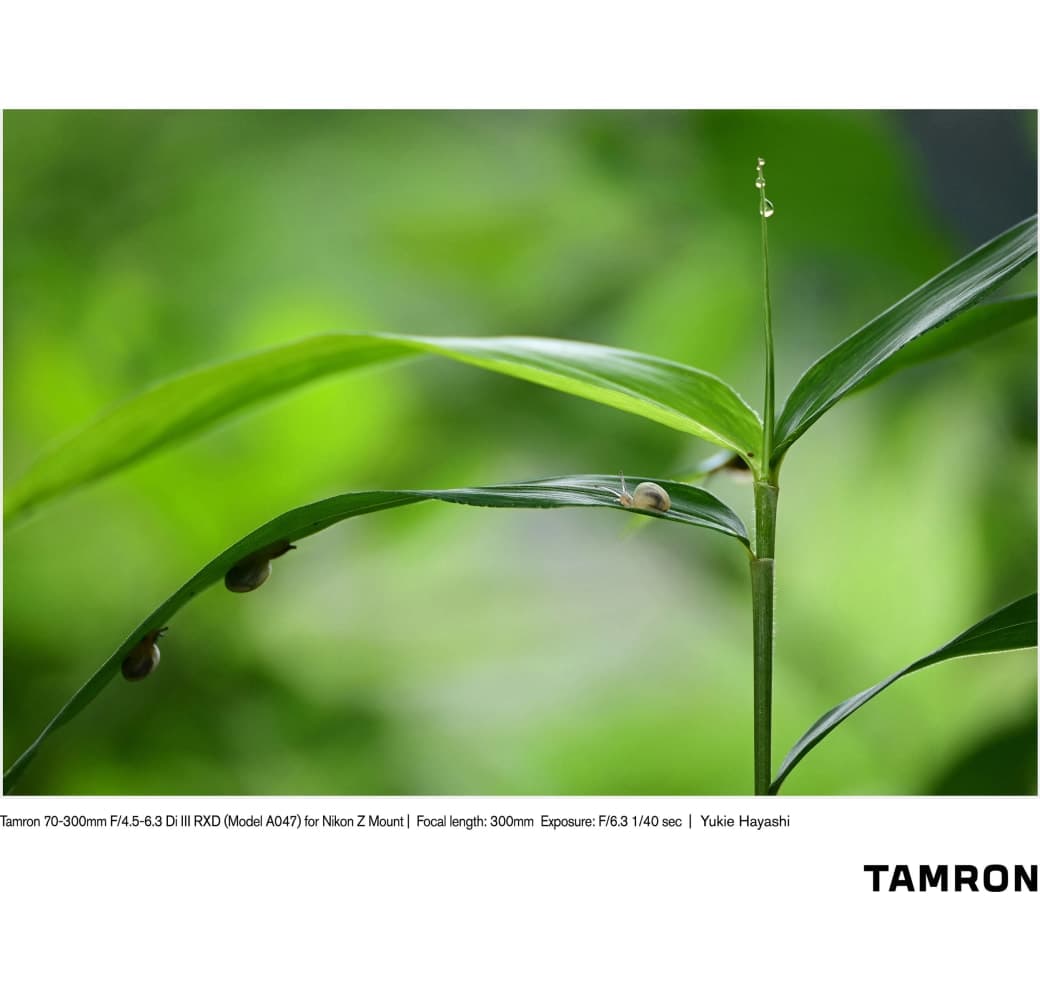 Negro Tamron 70-300mm f/4.5-6.3 Di III RXD Nikon Z.8