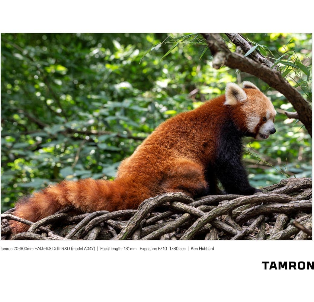 Black Tamron 70-300mm f/4.5-6.3 Di III RXD Sony FE-Mount.6