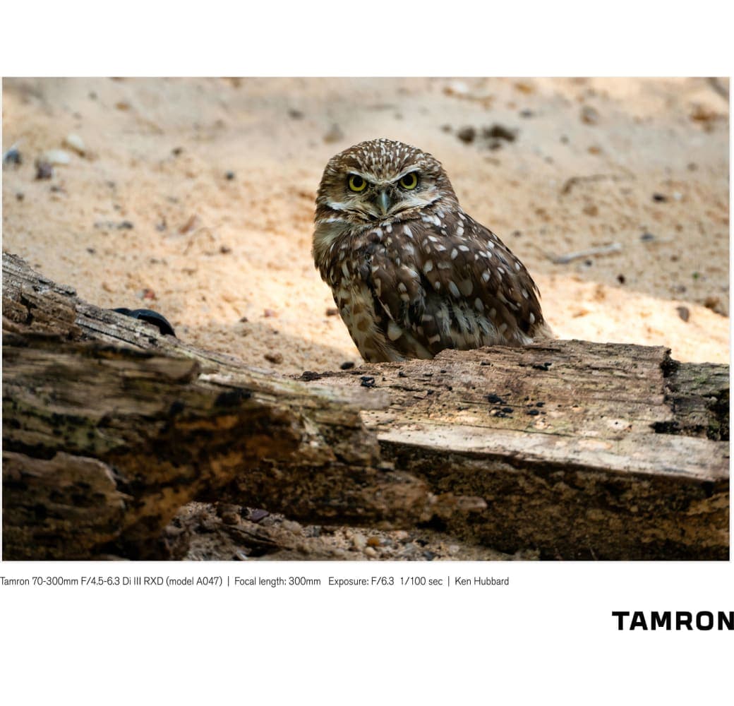 Black Tamron 70-300mm f/4.5-6.3 Di III RXD Sony FE-Mount.7