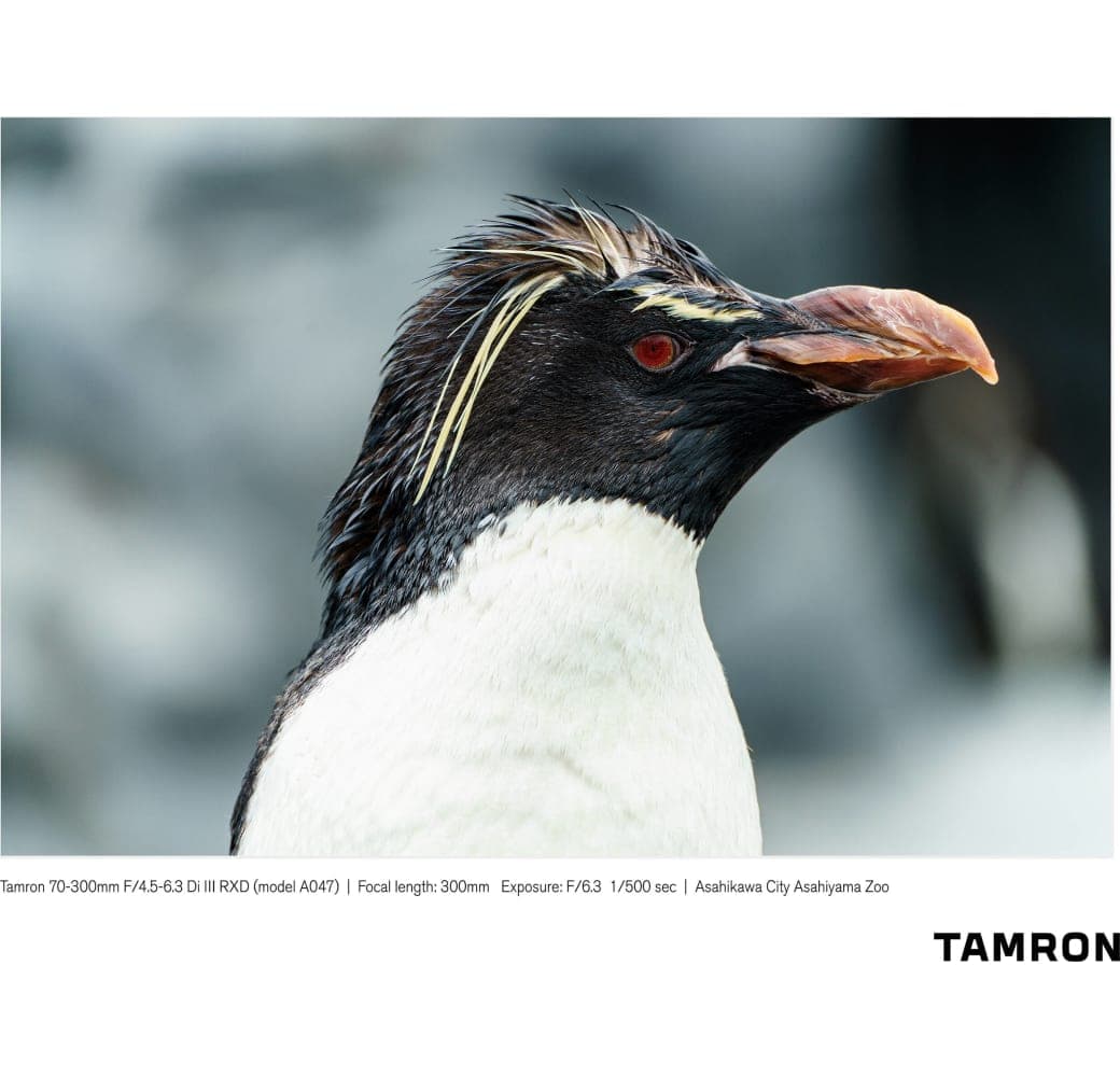 Black Tamron 70-300mm f/4.5-6.3 Di III RXD Sony FE-Mount.10