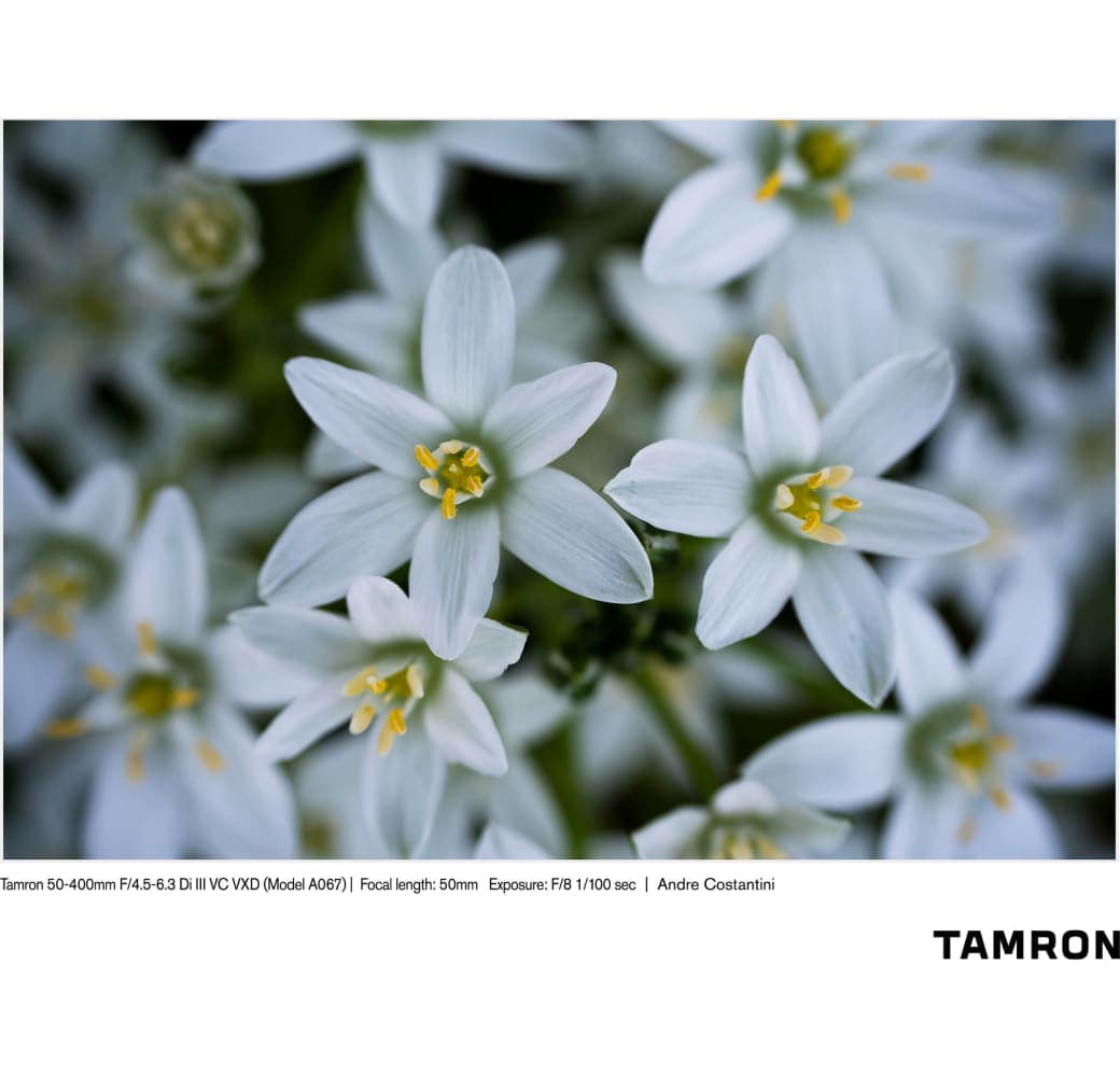 Schwarz Tamron 50-400mm f/4.5-6.3 Di III VC VXD Sony FE-Mount.4