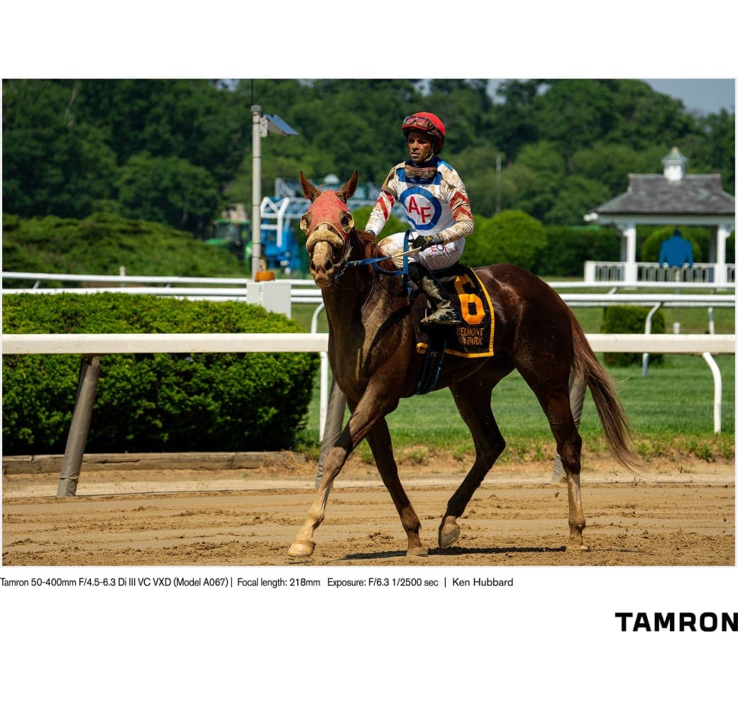 Schwarz Tamron 50-400mm f/4.5-6.3 Di III VC VXD Sony FE-Mount.6