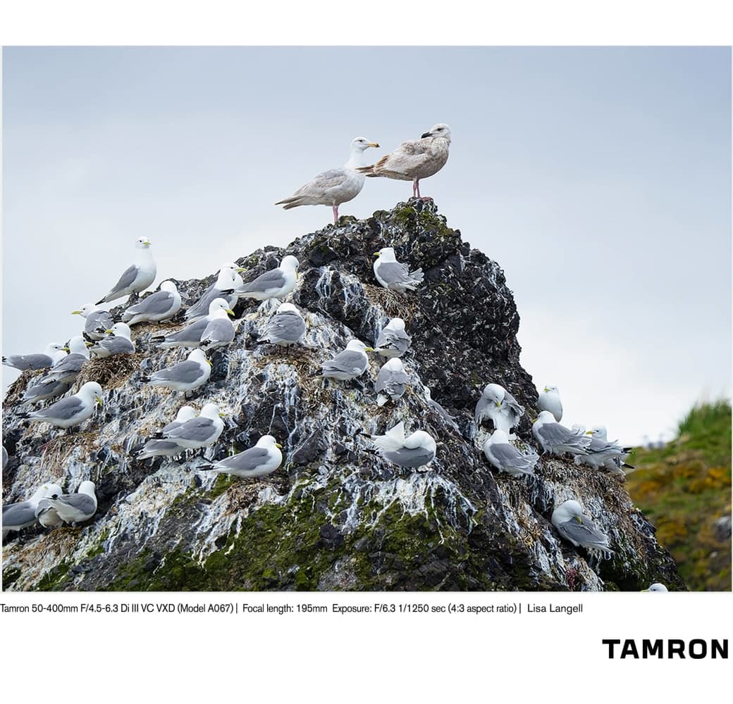 Schwarz Tamron 50-400mm f/4.5-6.3 Di III VC VXD Sony FE-Mount.7