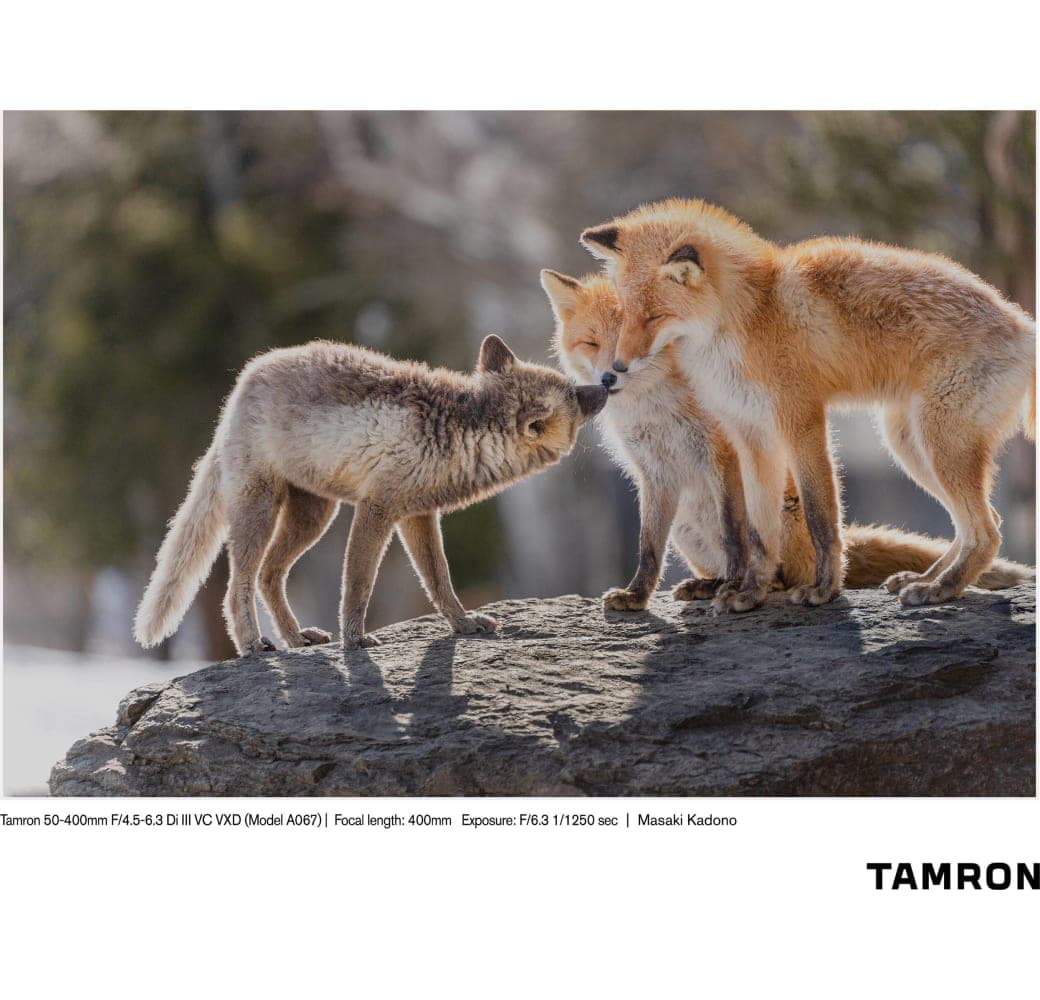 Schwarz Tamron 50-400mm f/4.5-6.3 Di III VC VXD Sony FE-Mount.8