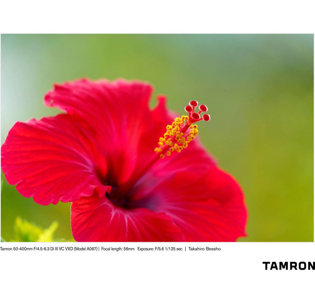 Schwarz Tamron 50-400mm f/4.5-6.3 Di III VC VXD Sony FE-Mount.9