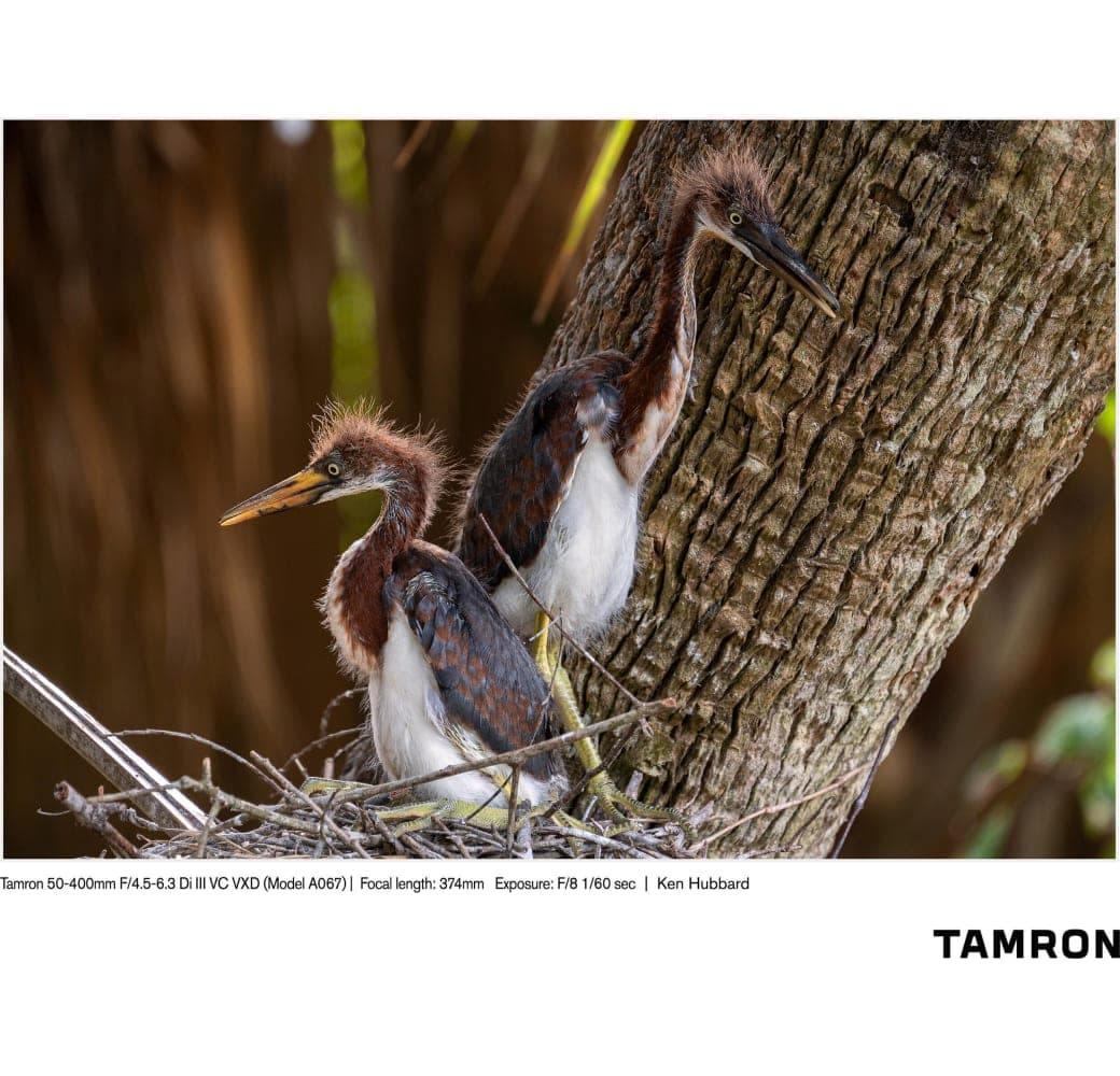 Schwarz Tamron 50-400mm f/4.5-6.3 Di III VC VXD Sony FE-Mount.13