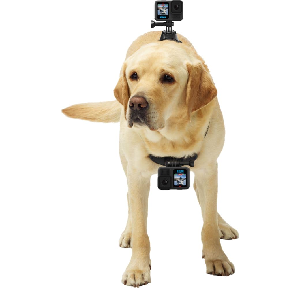 Zwart GoPro HERO 13 Black Creator Edition.4