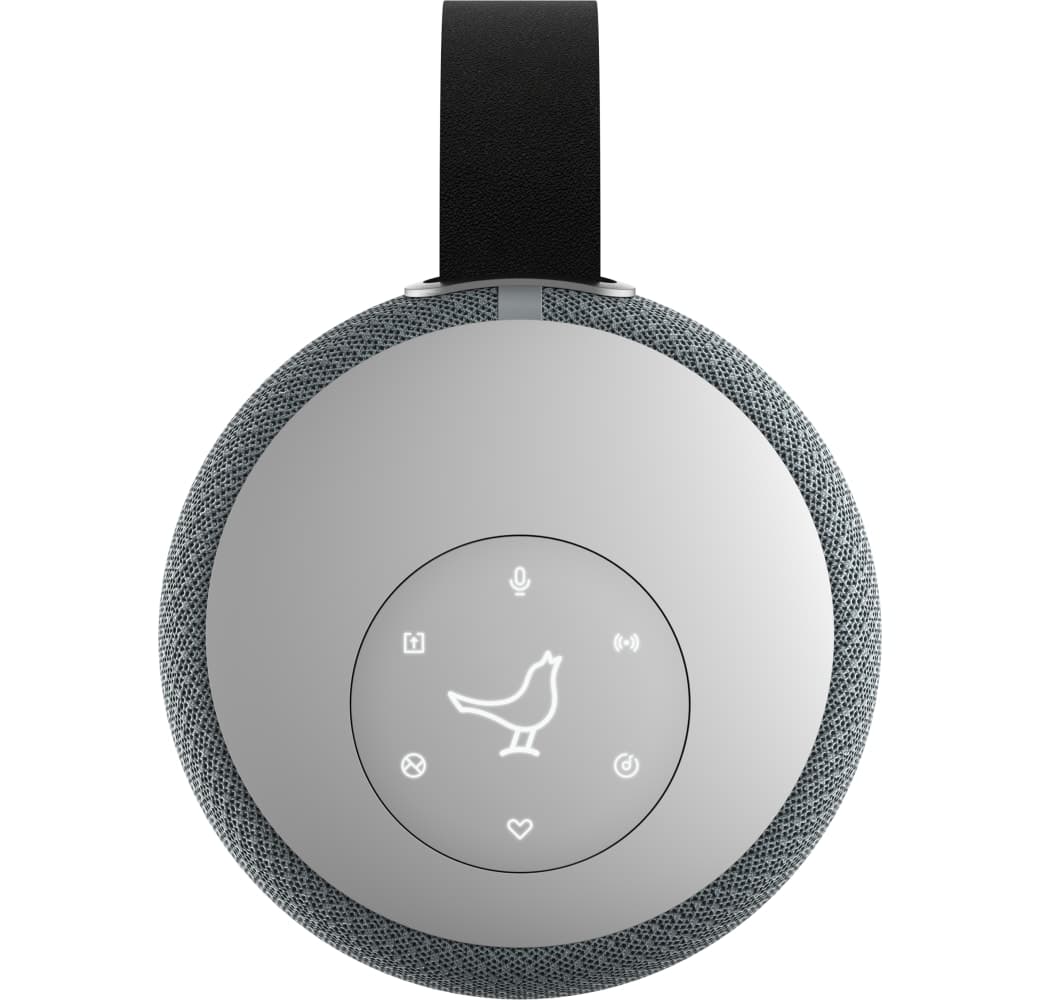 Frosty Grey Libratone ZIPP MINI 2.4