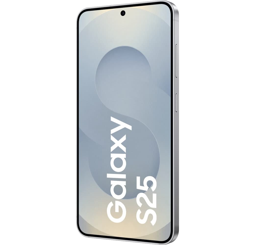 Silver Shadow Samsung Galaxy S25 Smartphone - 256 GB - Dual SIM.2