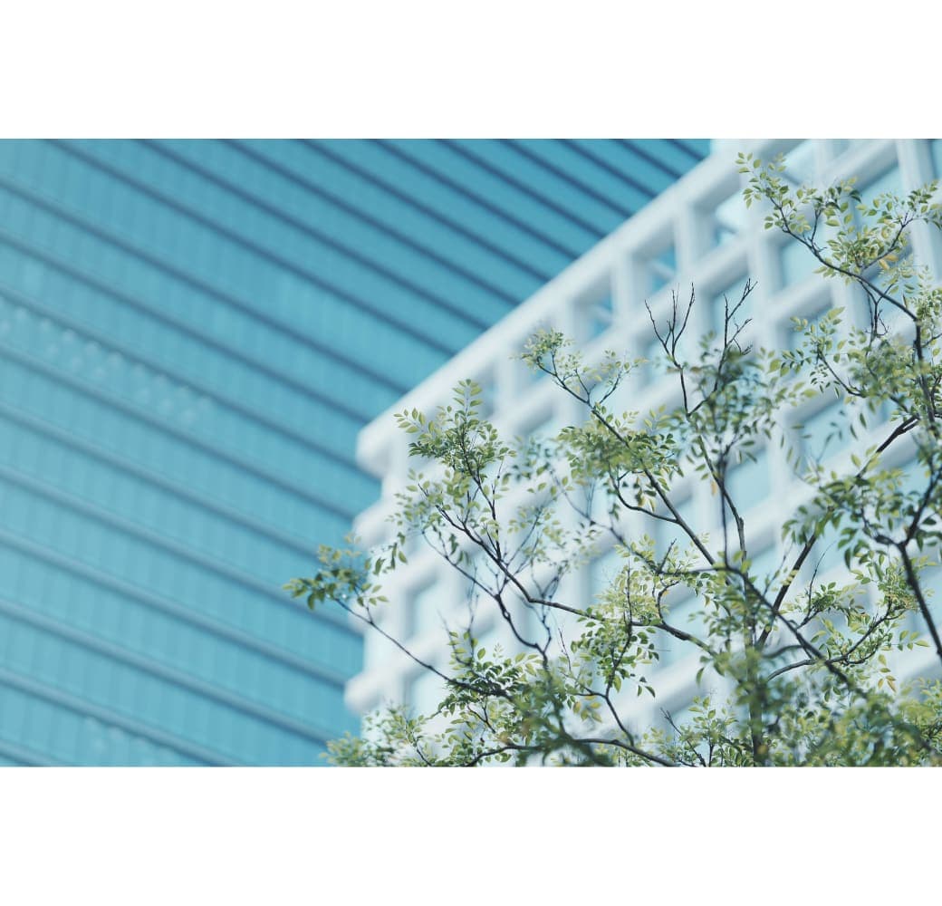 Black Sony FE 85mm F/1.4 GM II.19