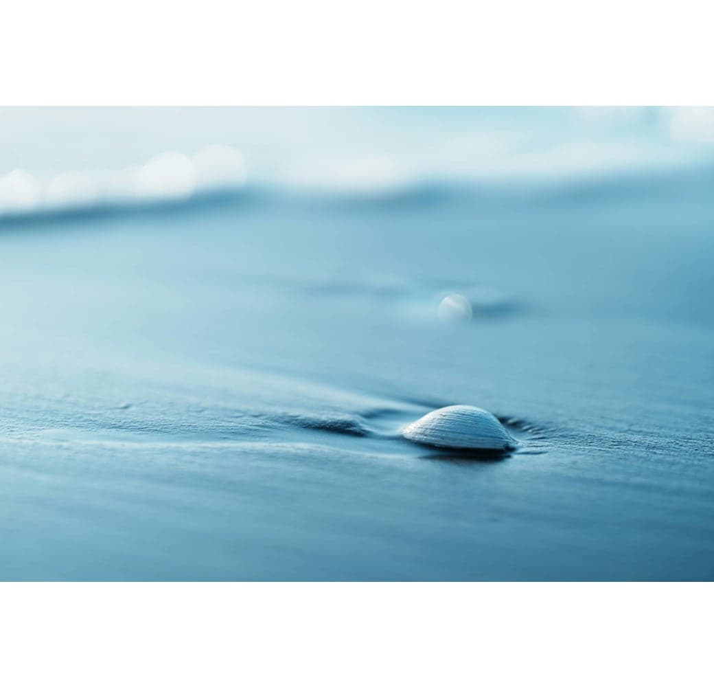 Black Sony FE 85mm F/1.4 GM II.23