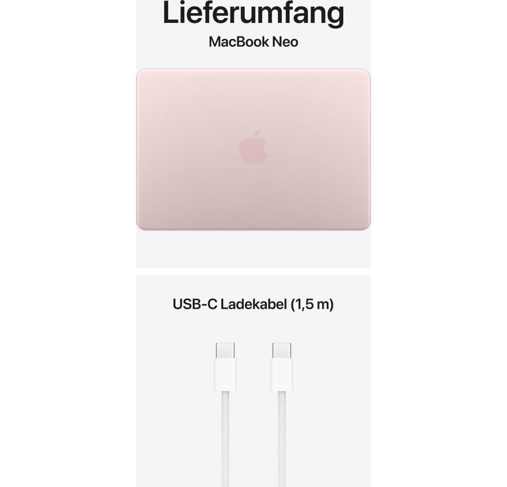 Erröten Apple MacBook Neo 13" Laptop - A18 Pro 6-Core - 8 GB - 256 GB SSD - 5-Core-CPU - Deutsch (QWERTZ) - Keine Touch ID.3